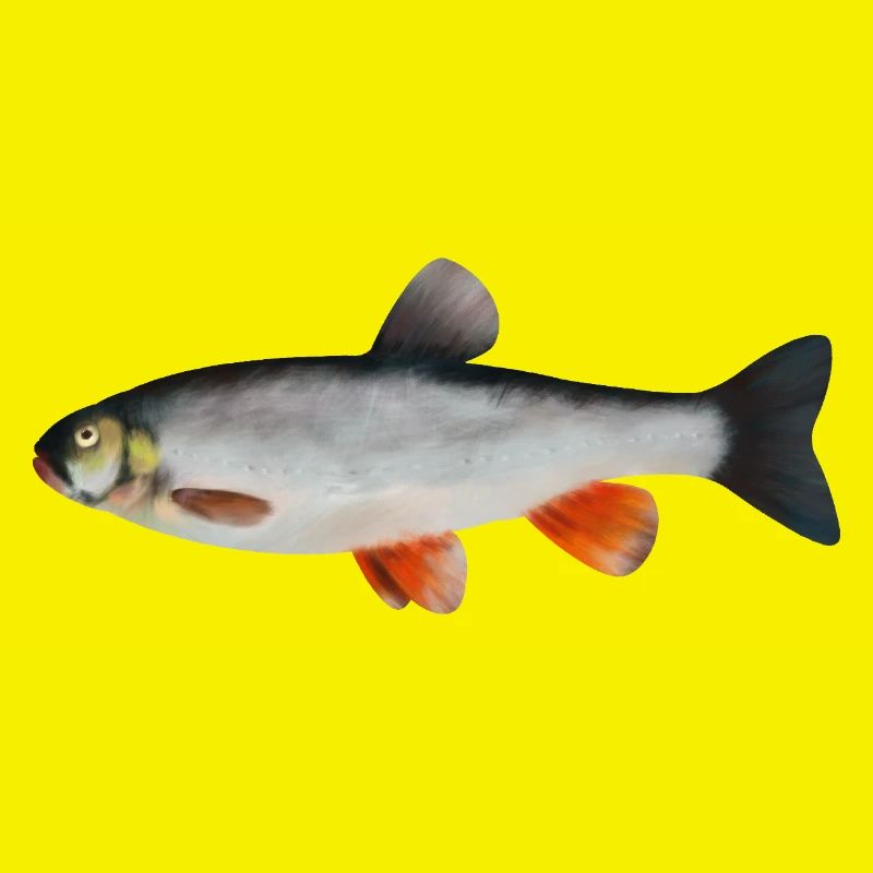 Döbel