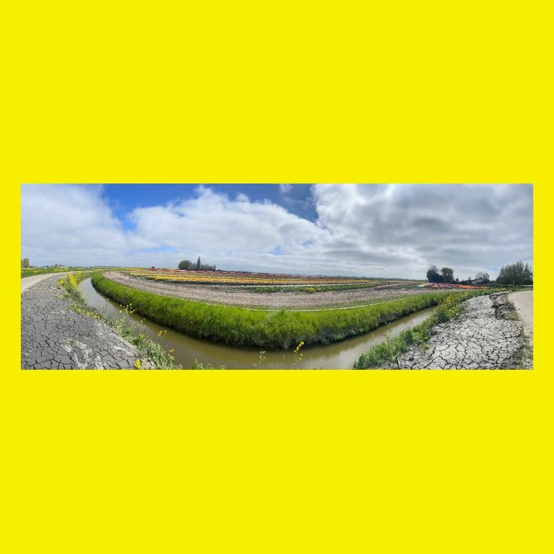 Panoramic field with ditch and flowers