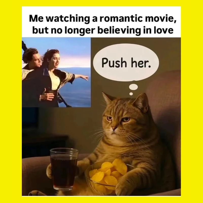 Katze Meme Push Romantik