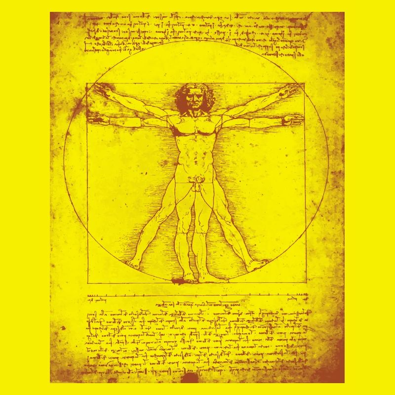Leonardo DaVinci vitruvian Man Print
