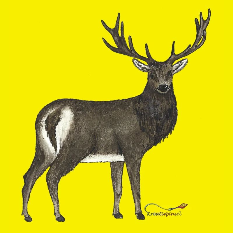 Red deer