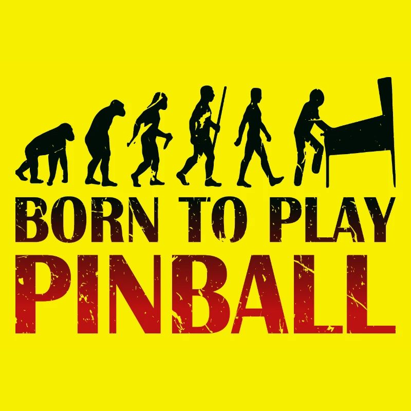 Born to play Pinball - Pinball machine Evolution