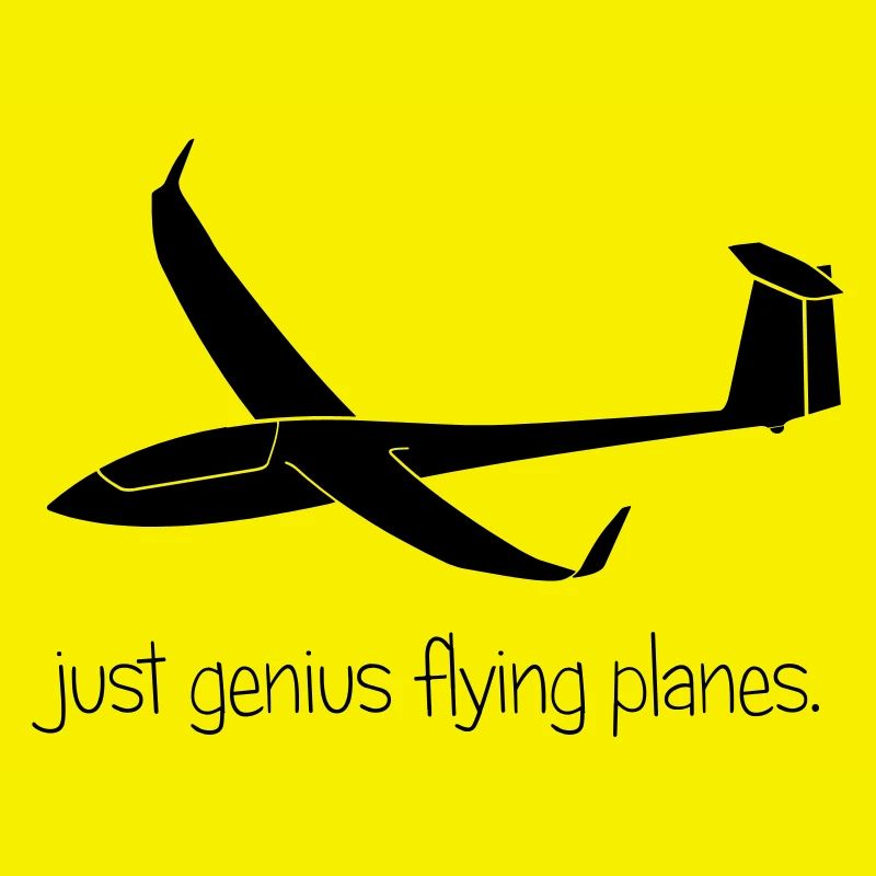 Glider glider flying glider pilot