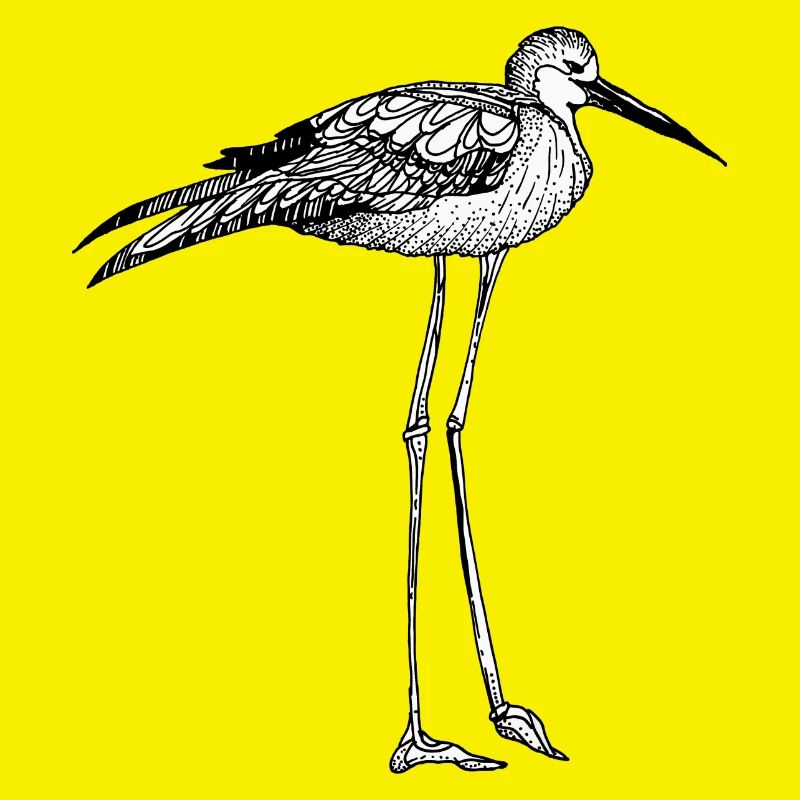 Vogel