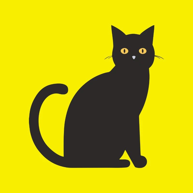 gatto nero
