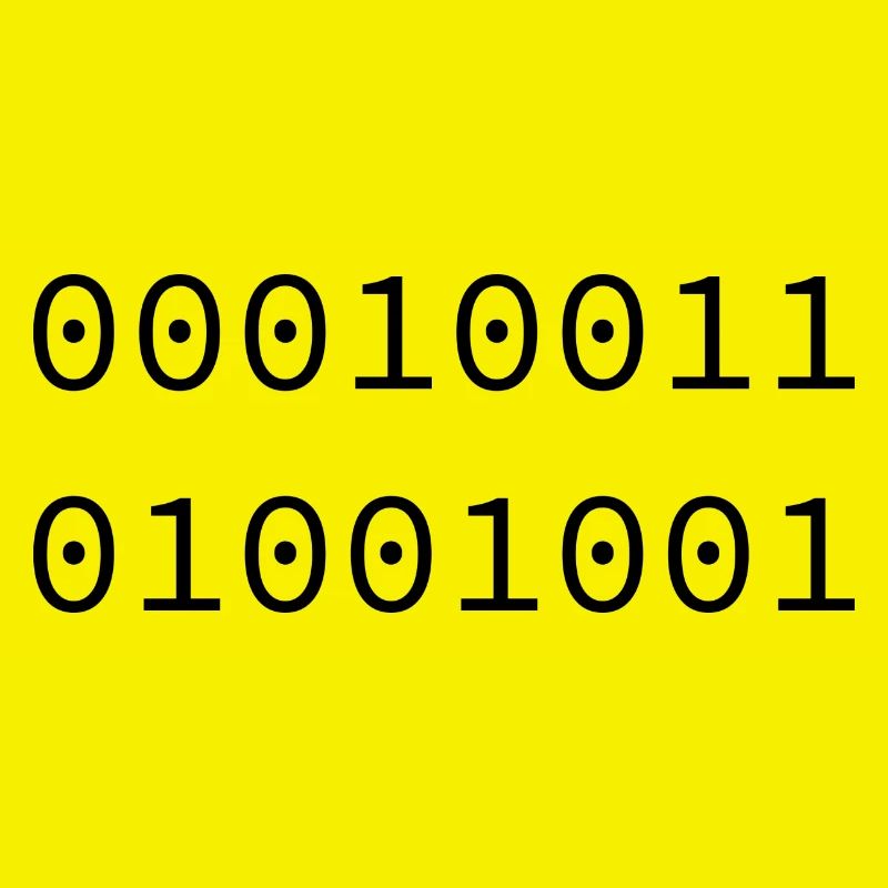 1973 Binary