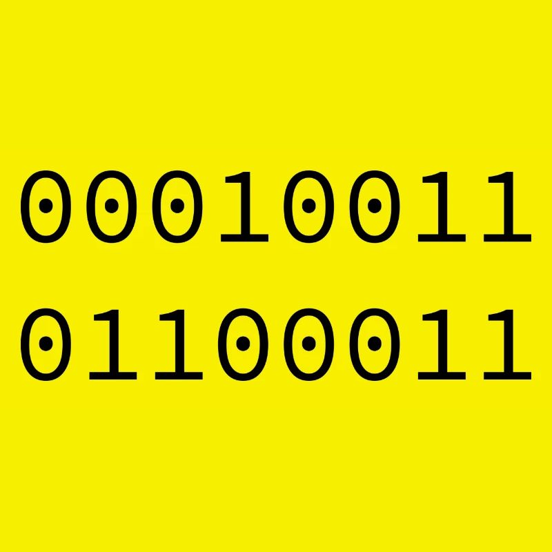 1999 Binary