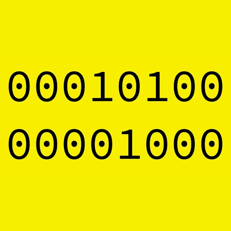 2008 Binary