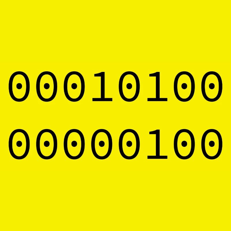 2004 Binary