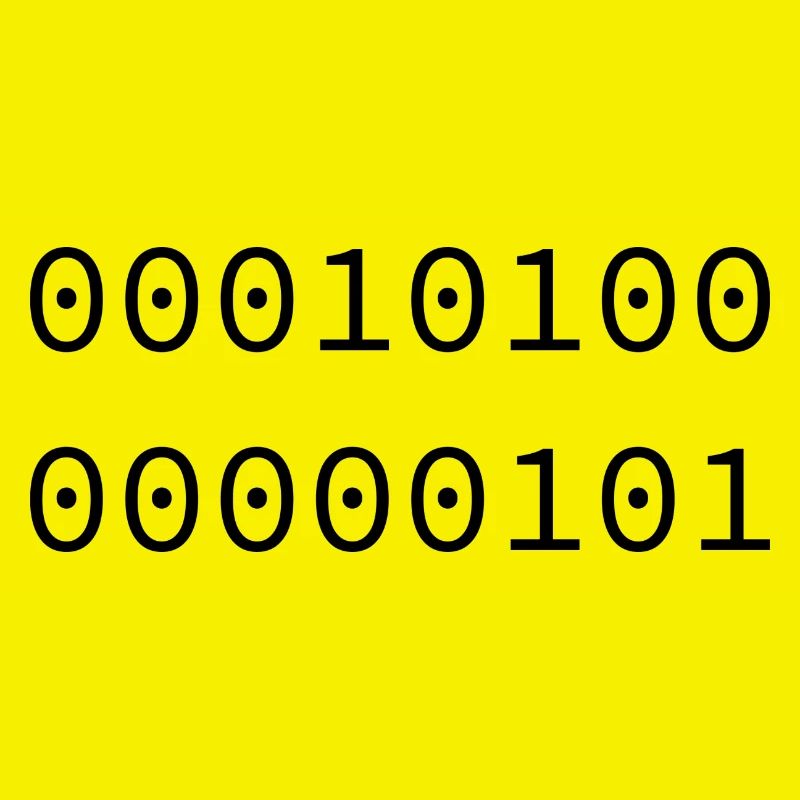 2005 Binary