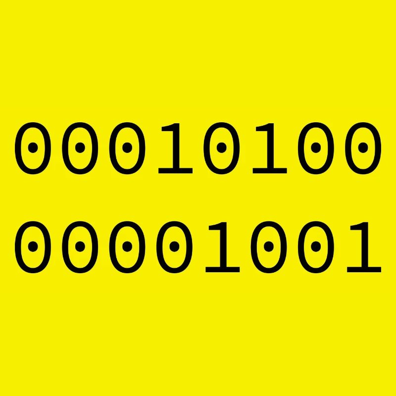 2009 Binary