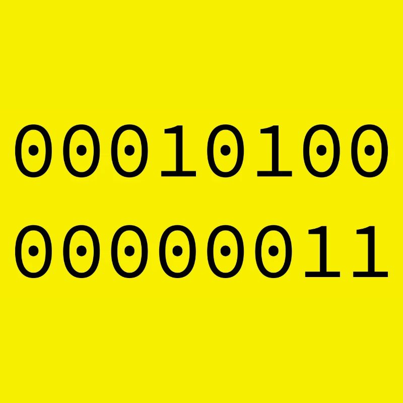 2003 Binary