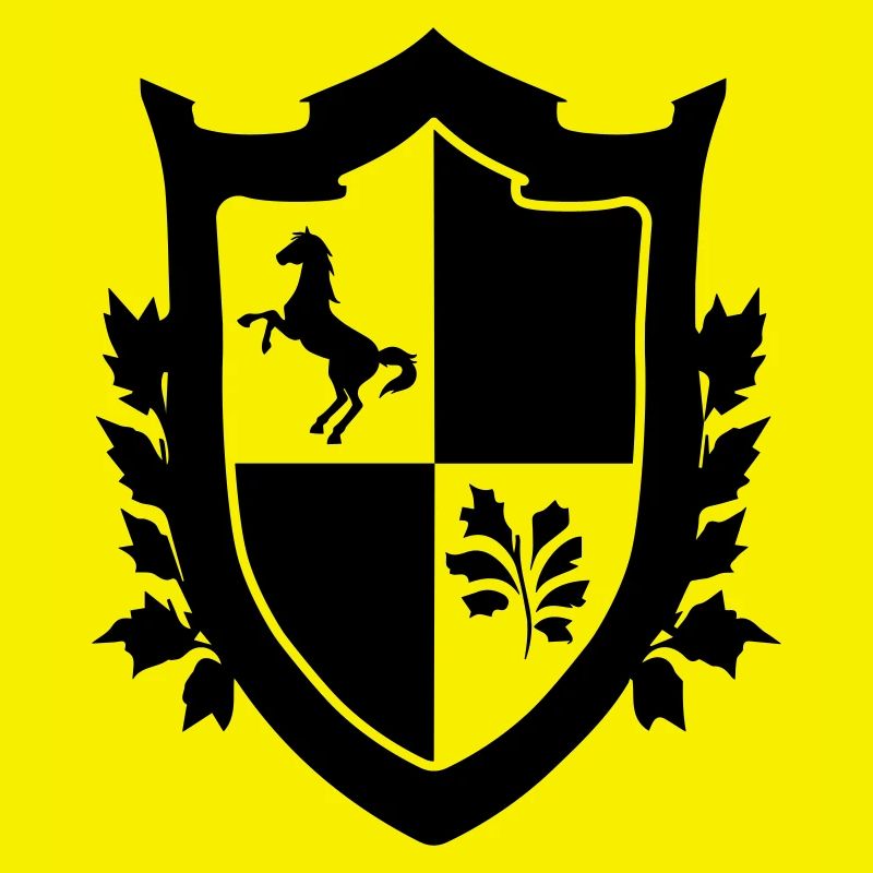 Middle Ages shield