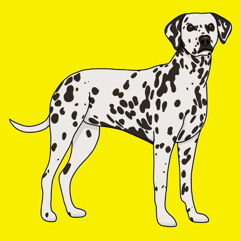 Dalmatien