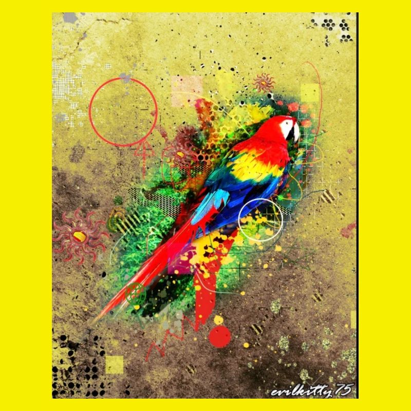 Vogel-Graffiti