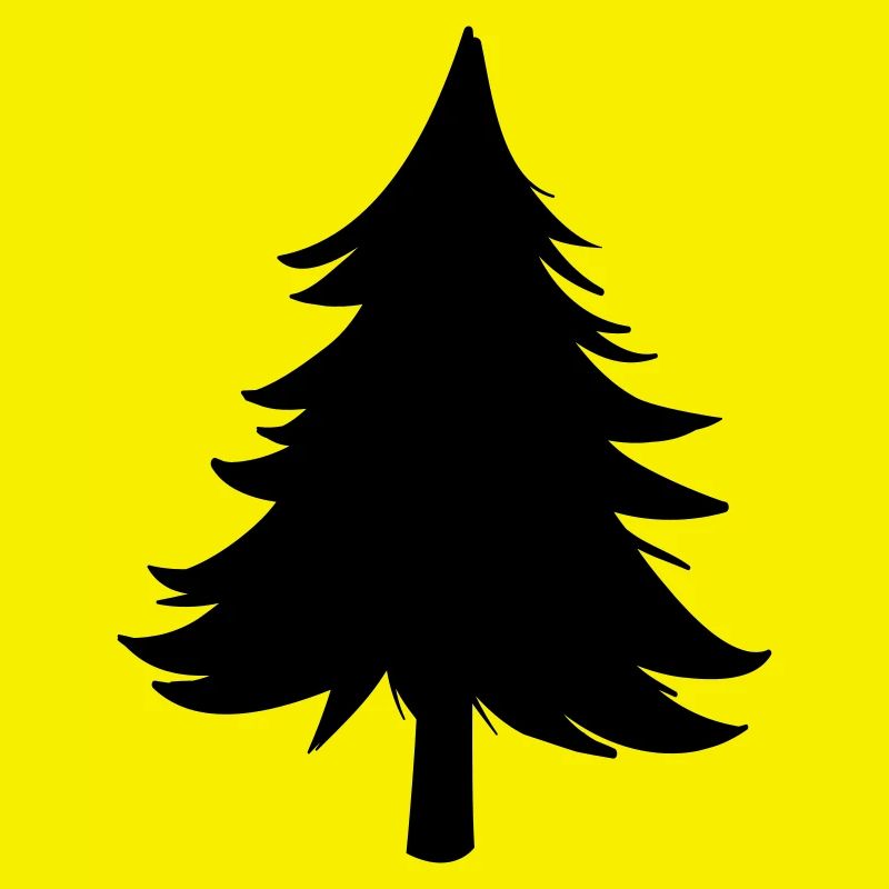 Sapin