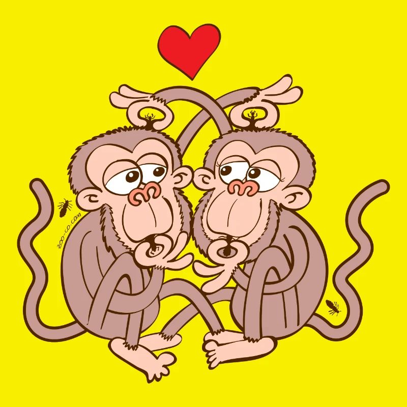 Monkeys Falling in Love while Eating Lice