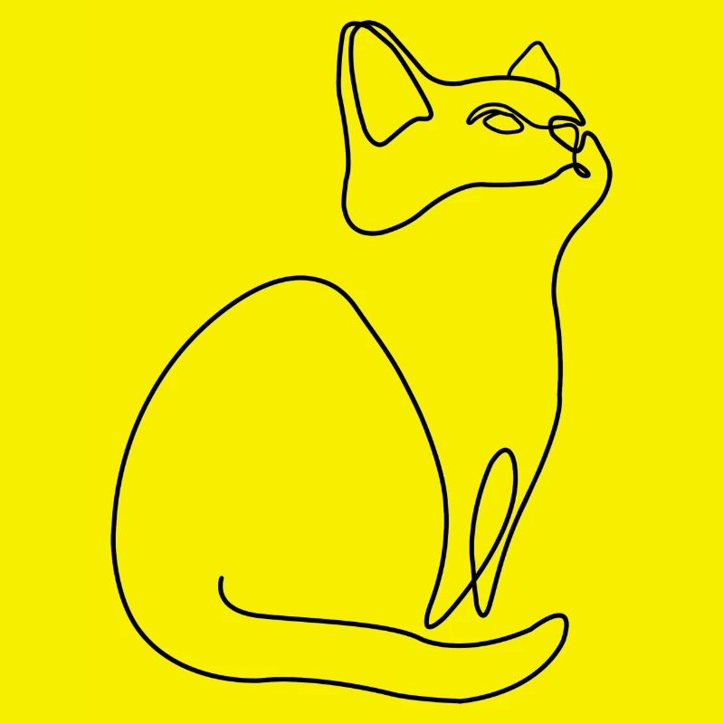 Kitten Cat Cat