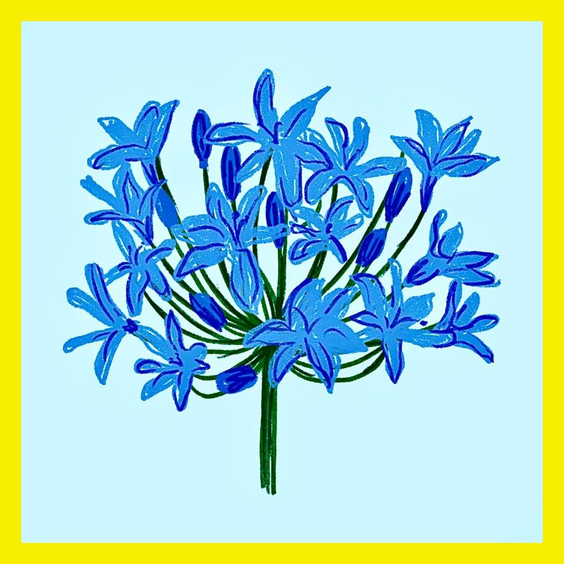 Fleur bleue