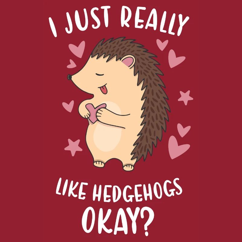 Hedgie I Just Really Like Hedgehogs Okay? Hedgehog