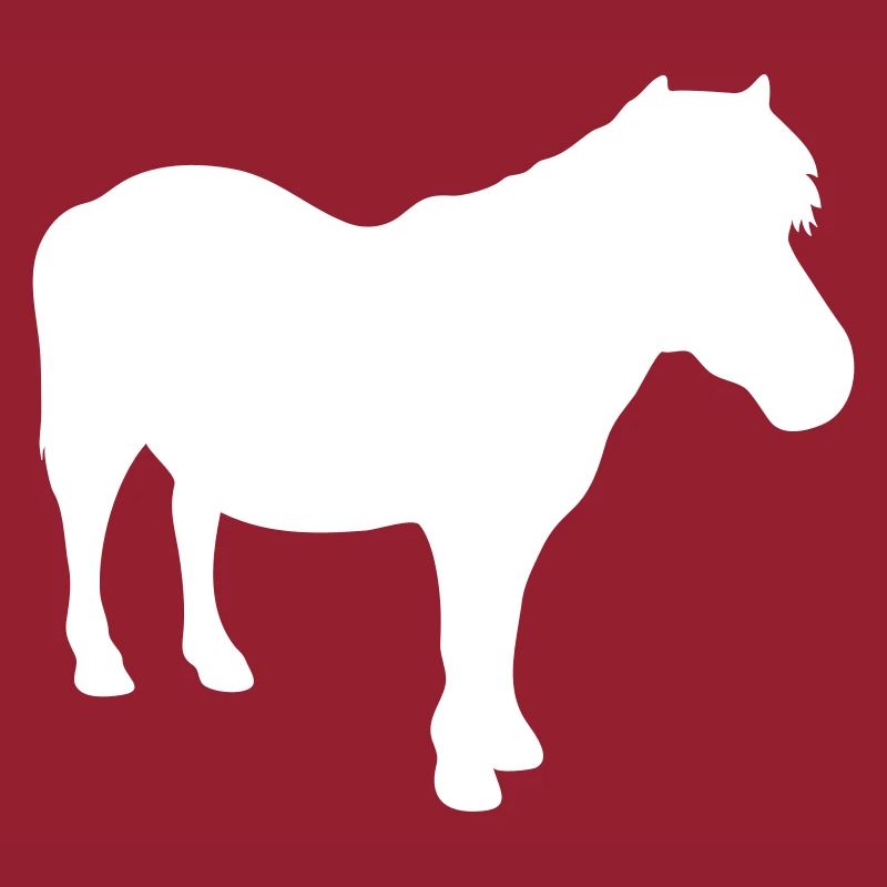 Poney Shetty