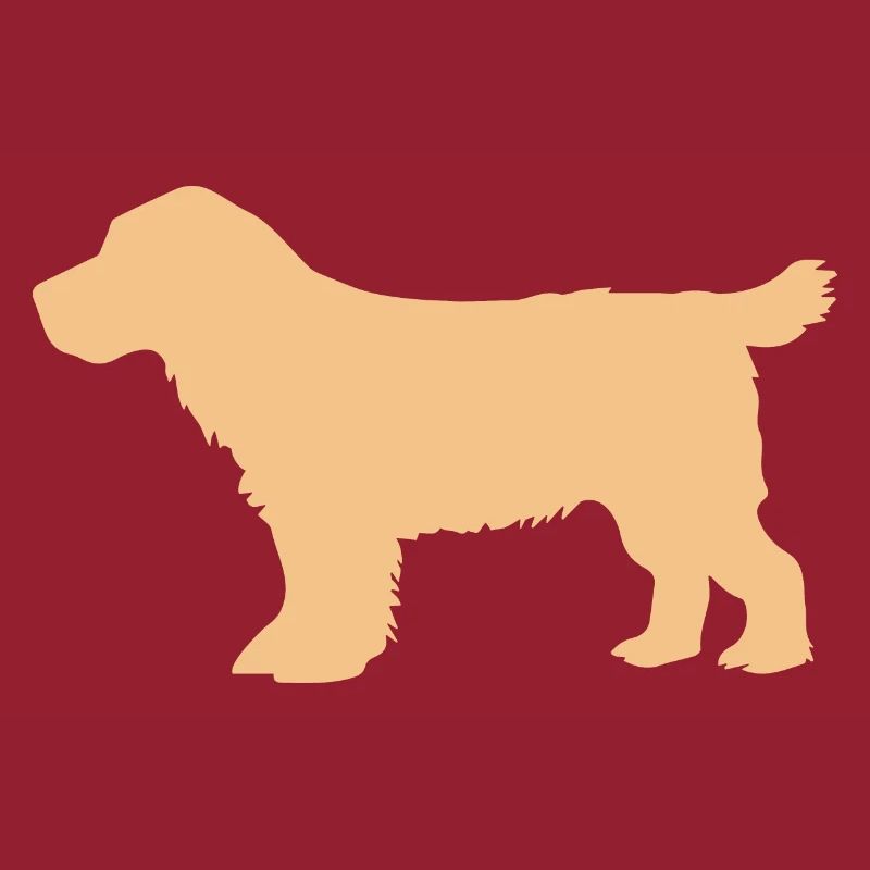 Cocker Spaniel orange sand – SUA