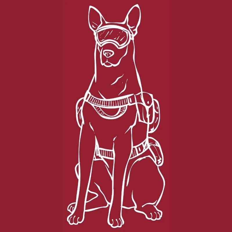Malinois Belgian Shepherd Mechelaar Dog