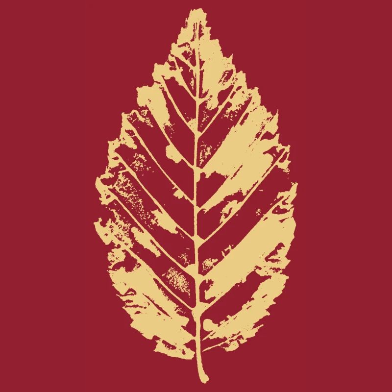 Feuille de hêtre - Feuille de hêtre - BOTANICAL