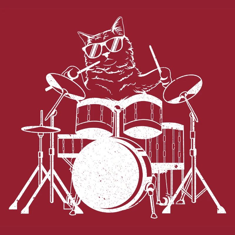 Cat plays drums playing cat drummer