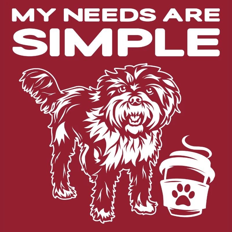 Cavapoo Cavoodle Capoodle Chien