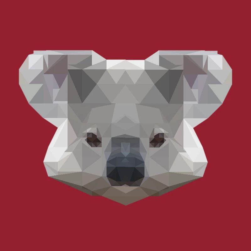 Mr. Koala
