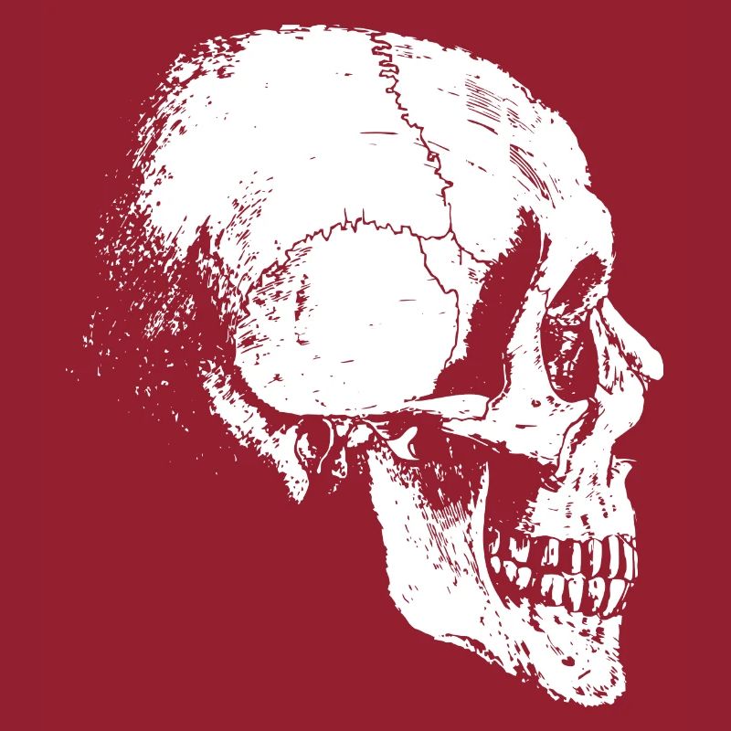 skeleton head