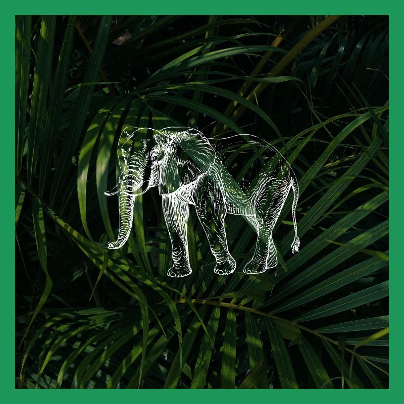 Conception d’éléphant