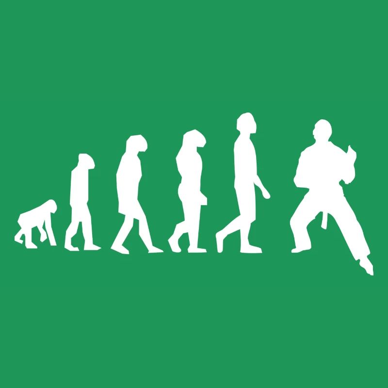 Art martiaux évolution