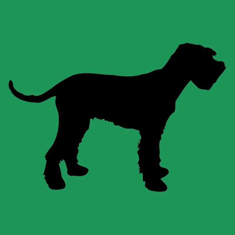 schnauzer géant