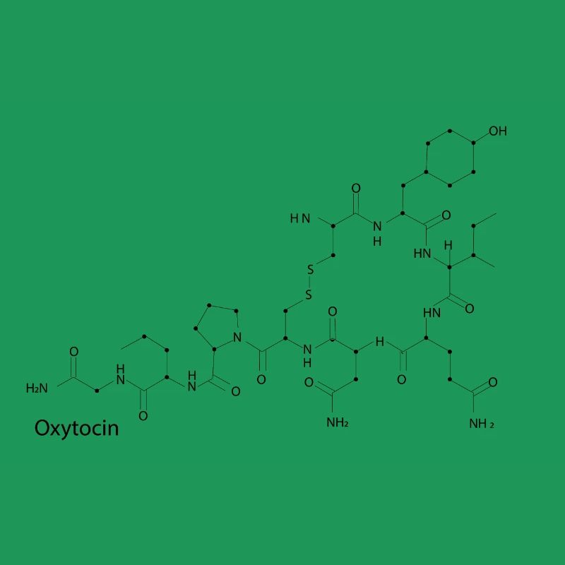 Formule développée de l'ocytocine
