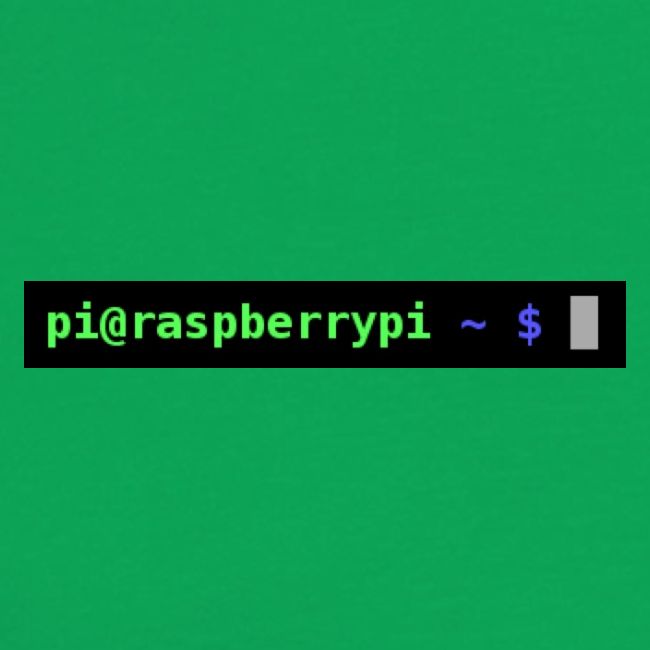 Raspberry Pi prompt
