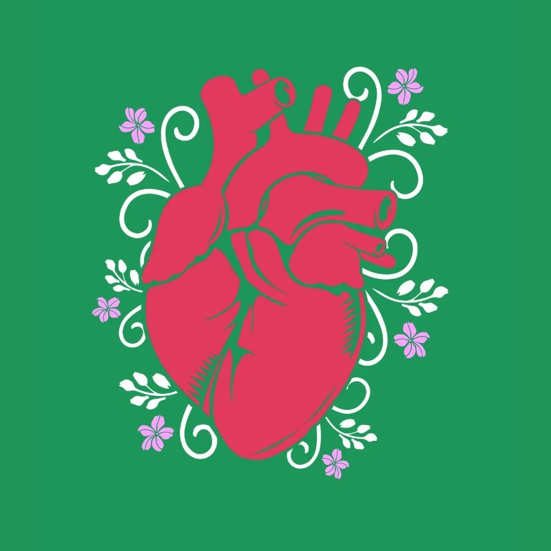Cardiogramme, cardiographie, échographie, échographie