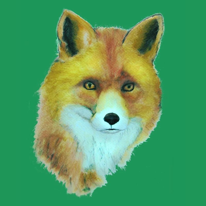Fuchs