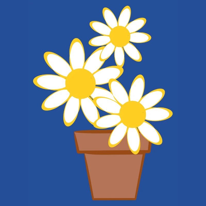 Gänseblümchen