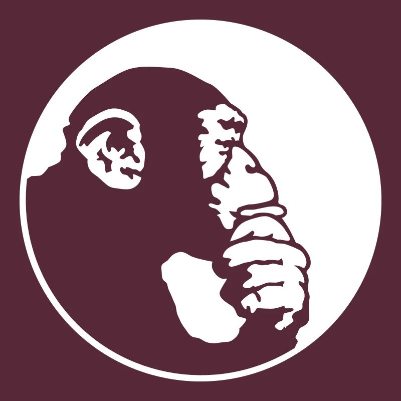 chimpanzee