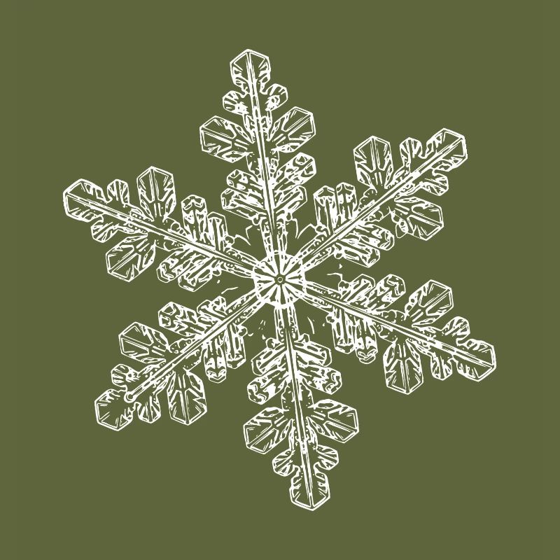 snowflake 6 white