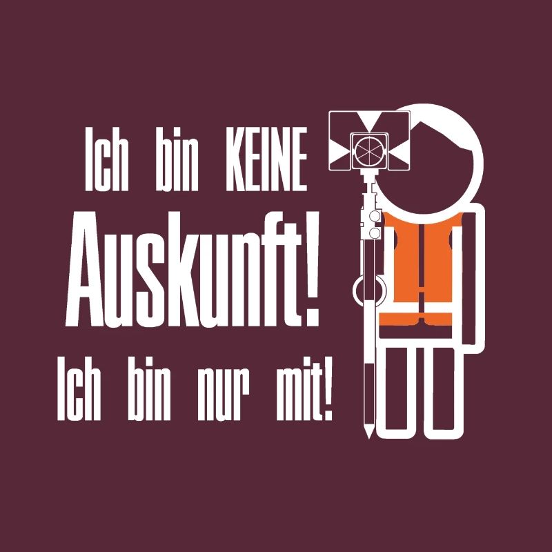 Surveyor information