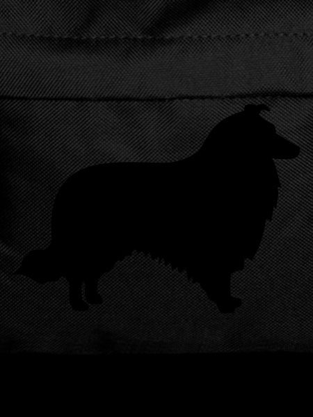 Collie