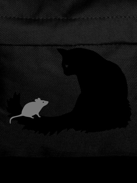 Cat & Mouse
