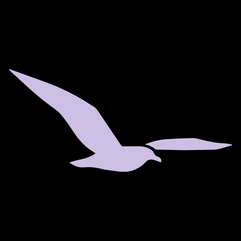 mouette