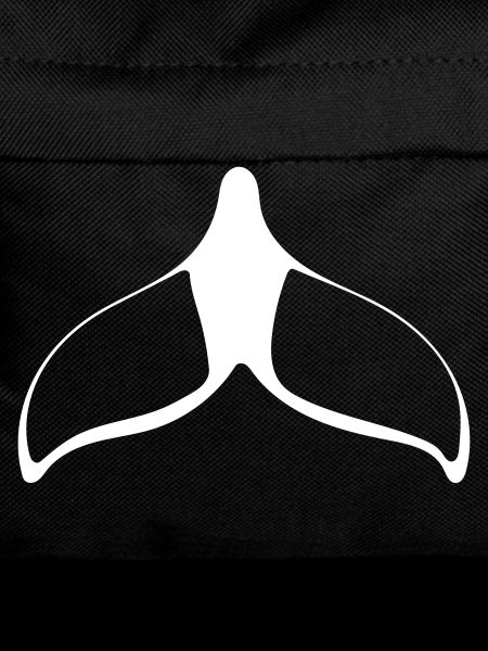 fin