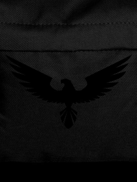 hawk
