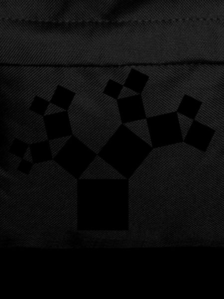 Pythagoras