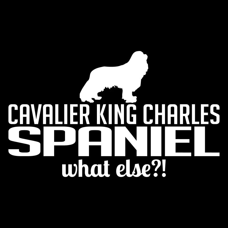 CAVALIER KING CHARLES SPANIEL what else